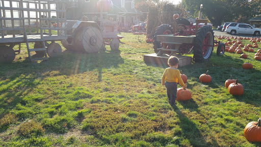 Farm «Ashley Turkey Farm», reviews and photos, 25 Hillside Ave, Flanders, NJ 07836, USA