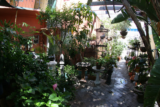 Florist «Victoria Park Flower Studio», reviews and photos, 901 NE 20th Ave, Fort Lauderdale, FL 33304, USA