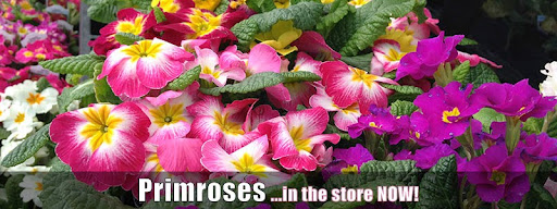 Hardware Store «Johnsons Home & Garden», reviews and photos, 26625 Maple Valley Black Diamond Rd SE, Maple Valley, WA 98038, USA