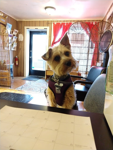 3605 Main St, Morgantown, PA 19543, USA