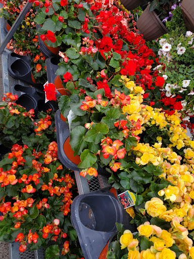 Hardware Store «Westlake Ace Hardware 026», reviews and photos, 5001 SW 29th St, Topeka, KS 66614, USA