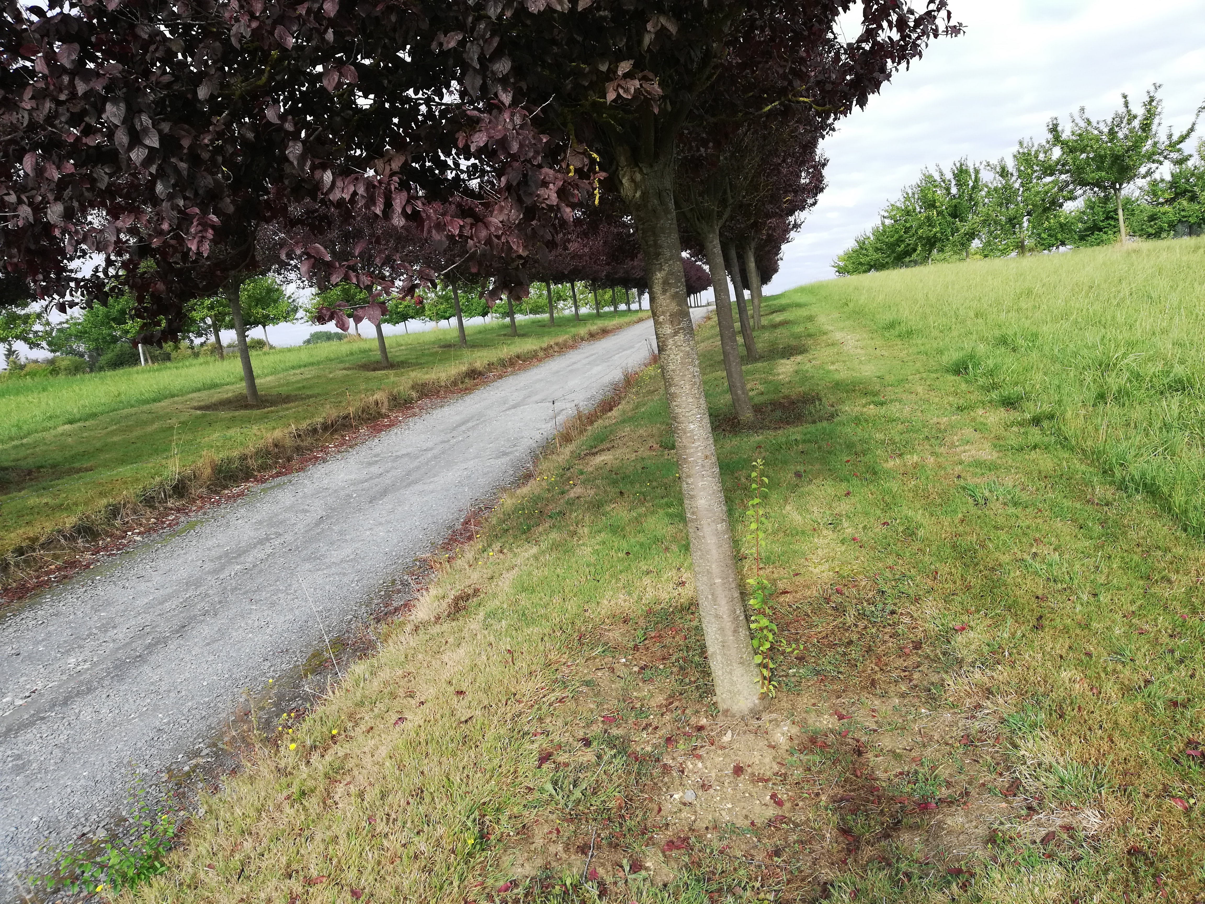 Photo n° 1 de l'avis de Ismahen.e fait le 16/08/2018 à 17:35
