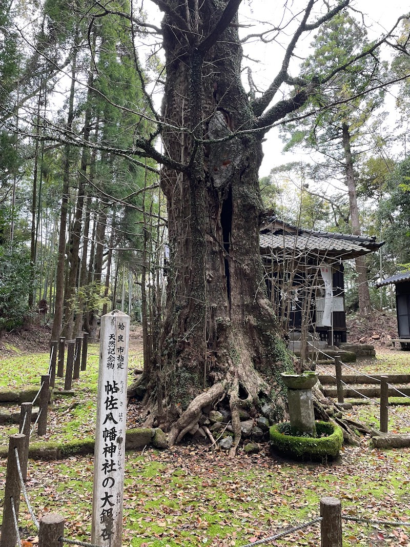 八幡神社(帖佐八幡神社)