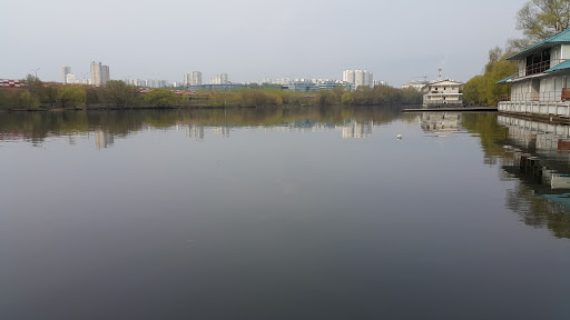 Silver Forest Rowing Club