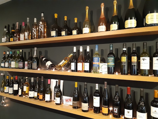 Velu Vins sa - Avinum Srl