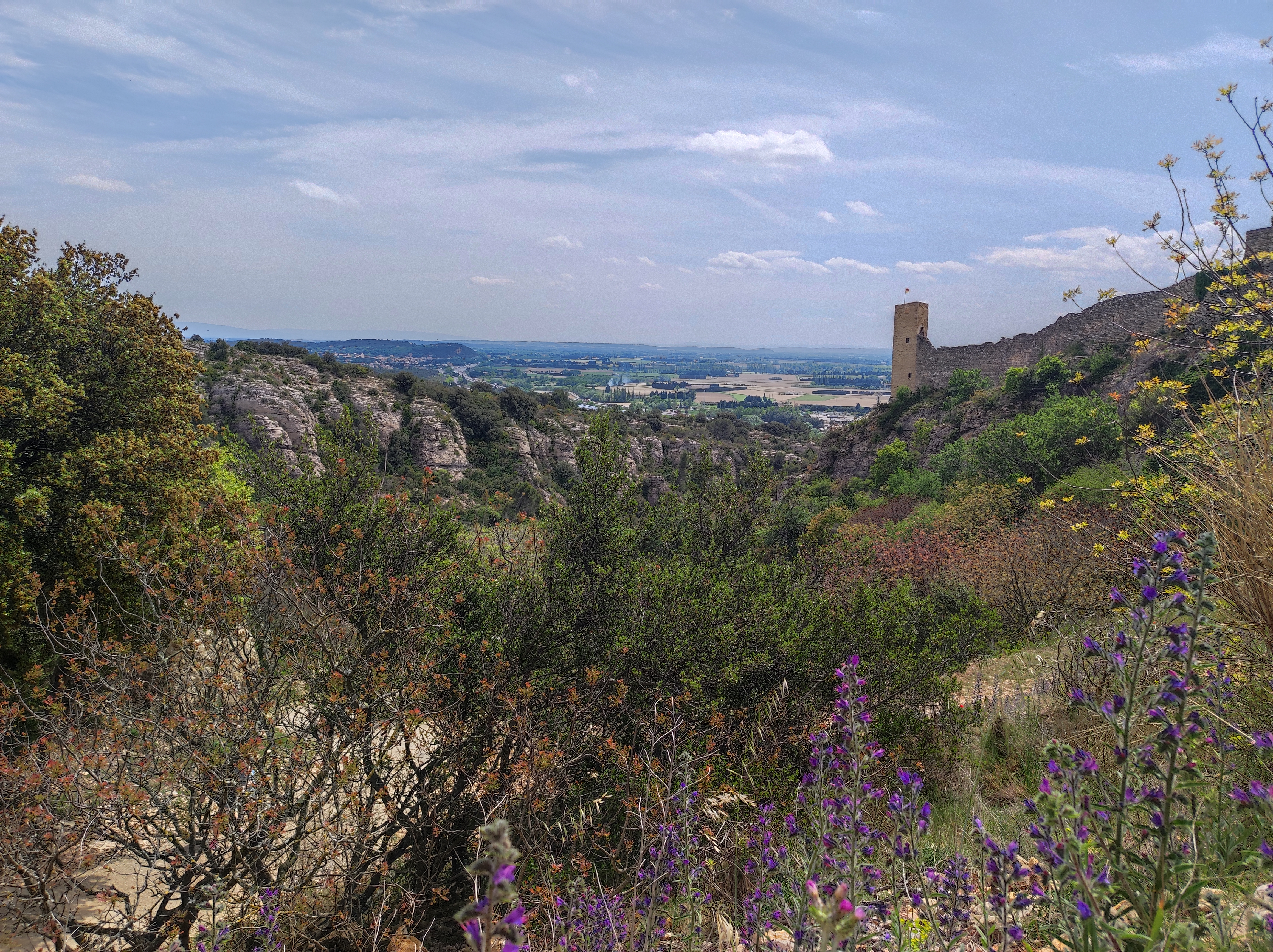 Photo n° 11 de l'avis de Viry.e fait le 27/04/2023 à 18:35