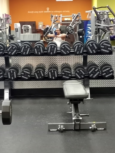 Gym «Anytime Fitness», reviews and photos, 900 Meridian Ave E #30, Milton, WA 98354, USA