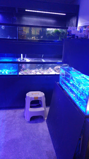 Pet Supply Store «The Fish Bowl», reviews and photos, 4000 S Dupont Hwy # 101, Dover, DE 19901, USA