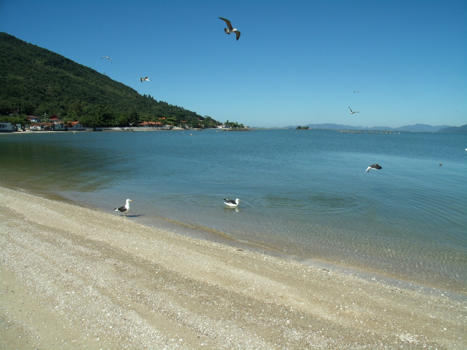 Praia de Fora'in fotoğrafı uçurumlarla desteklenmiş