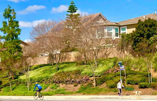 Bicycle Store «La Habra Cyclery», reviews and photos, 451 N Harbor Blvd, La Habra, CA 90631, USA