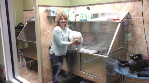 Pet Supply Store «EarthWise Pet Supply East Village», reviews and photos, 1051 Market St, San Diego, CA 92101, USA