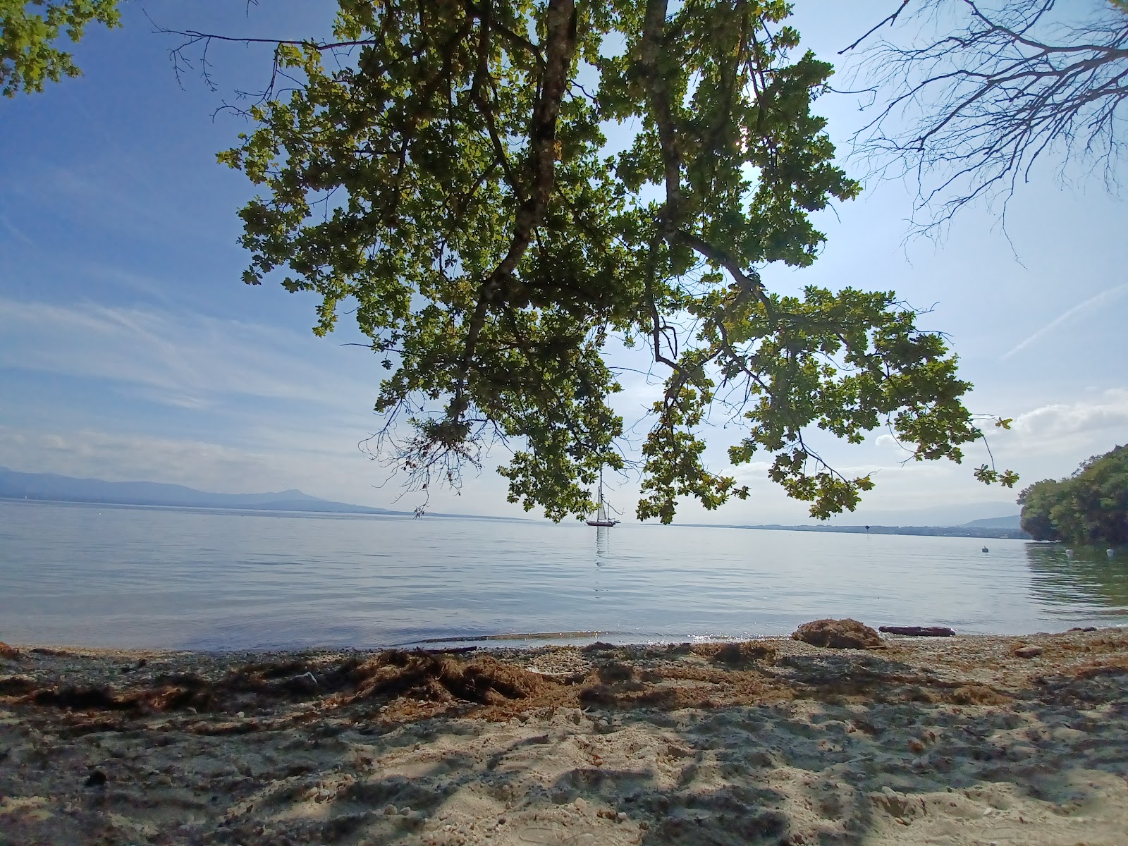 Allaman beach photo #7