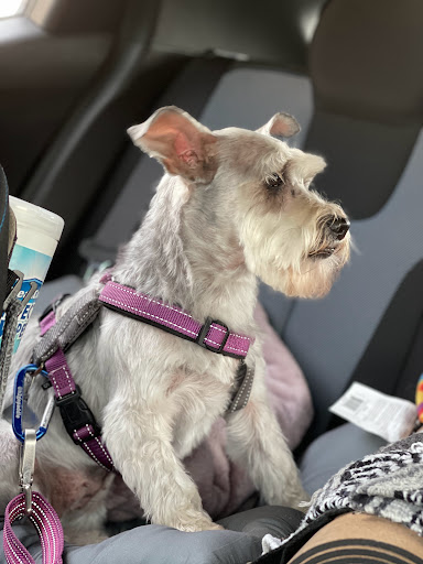 Pet Supply Store «PetSmart», reviews and photos, 4429 Pecanland Mall Dr, Monroe, LA 71203, USA