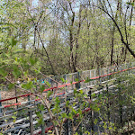 Photo n°20 de l'avis de Ernesto.i fait le 10/04/2023 à 18:00 sur le  Osteria Ai Pioppi à Nervesa della Battaglia