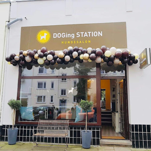 DOGing Station Hundesalons Uhlenhorst à Hamburg