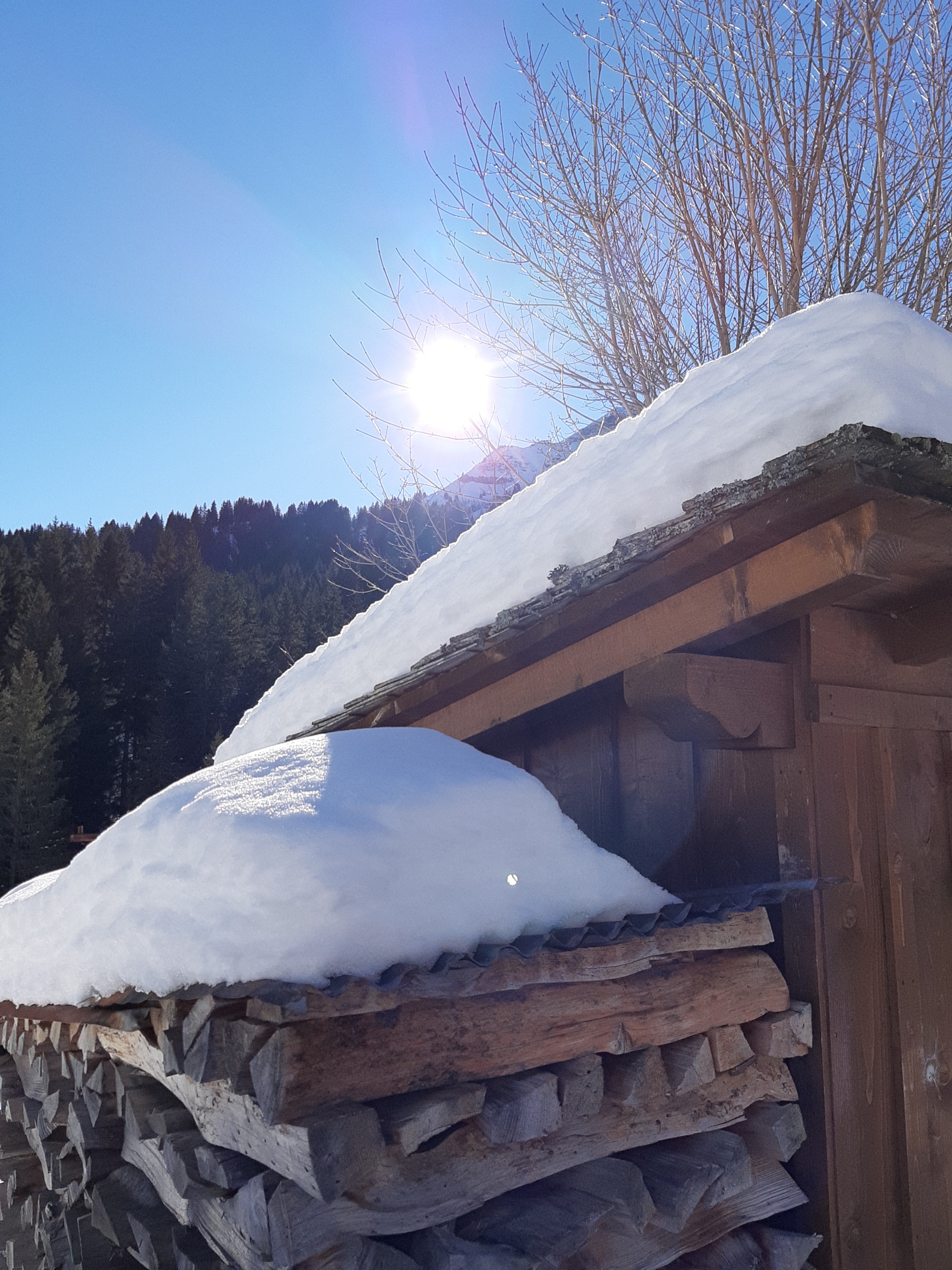 Photo n° 6 de l'avis de LABIDOIRE.a fait le 26/01/2020 à 21:31