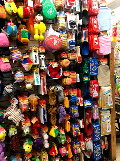 Variety Store «Dollar Store», reviews and photos, 384 Gratiot Ave, Charter Twp of Clinton, MI 48036, USA