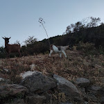 Photo n°1 de l'avis de Elisa.r fait le 16/08/2020 à 17:33 sur le  Ristoro Norghio à Irgoli