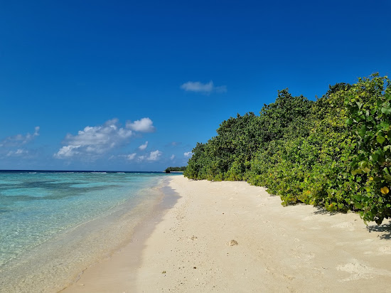 Rashdoo Beach