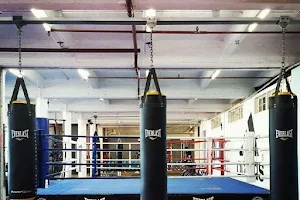 North Melbourne Boxing & Fitness image