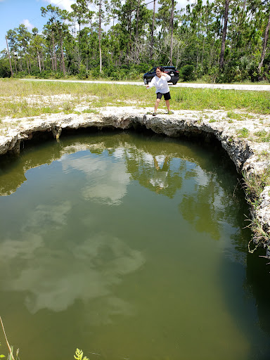 Tourist Attraction «Shark Valley Tram Tours», reviews and photos, 36000 SW 8th St, Miami, FL 33194, USA