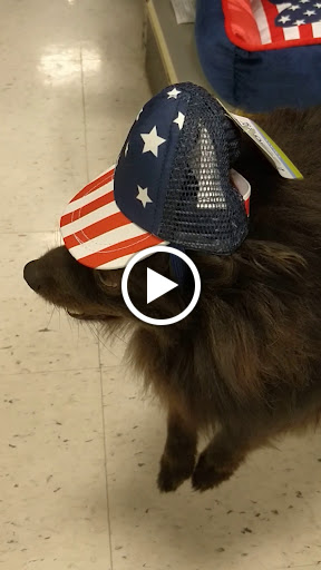 Pet Supply Store «PetSmart», reviews and photos, 2017 N Prospect Ave, Champaign, IL 61822, USA