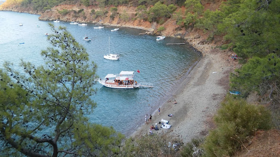 Fisherman's Bay