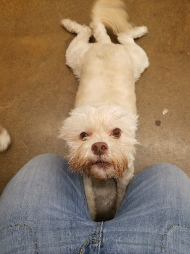 Pet Supply Store «Pet Supplies Plus», reviews and photos, 2180 Dixie Hwy, Fort Mitchell, KY 41017, USA