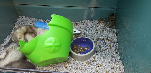 Pet Supply Store «Pet Valu», reviews and photos, 7750 Brandt Pike, Huber Heights, OH 45424, USA