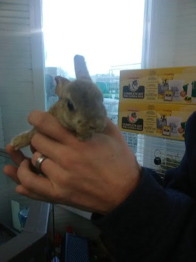 Pet Supply Store «Coastline Pet Supply», reviews and photos, 3530 Northgate Dr, Myrtle Beach, SC 29588, USA