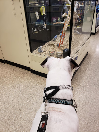 Pet Supply Store «PetSmart», reviews and photos, 156 Old Little Britain Rd, Newburgh, NY 12550, USA