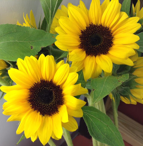 Florist «Flowers by Monica», reviews and photos, 9210 Homestead Rd a, Houston, TX 77016, USA