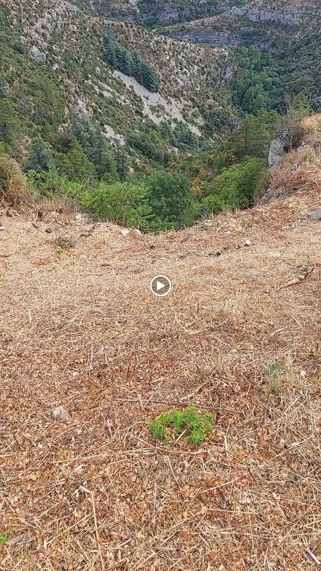Photo n° 2 de l'avis de Ame.G fait le 28/08/2023 à 19:16
