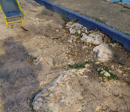 Parque Nueva Bojórquez photo