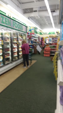 Dollar Tree - Photo 6 - Car repair in Mandeville, LA, Mandeville