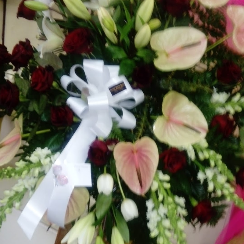 3 image