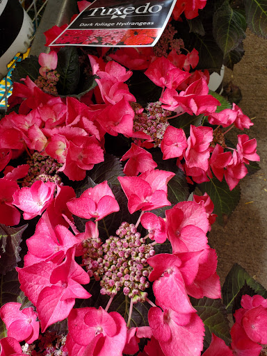 Home Improvement Store «The Home Depot», reviews and photos, 1330 N 21st St, Newark, OH 43055, USA