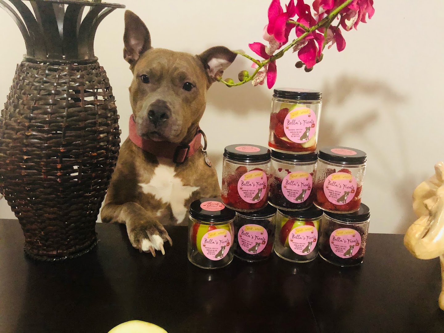 Bella's treats