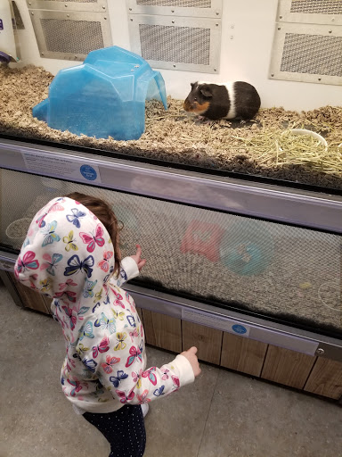 Pet Supply Store «Petco Animal Supplies», reviews and photos, 25451 Horace Harding Expy, Little Neck, NY 11362, USA