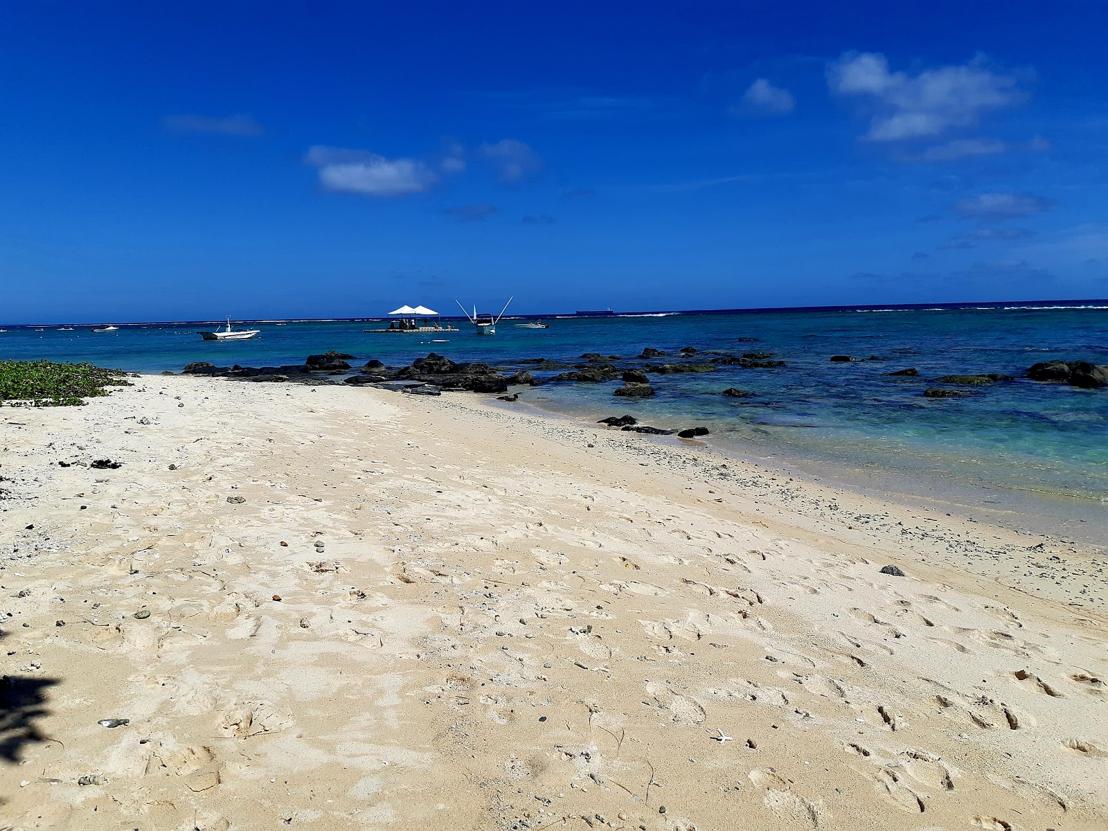 Foto av Balaclava Beach och bosättningen