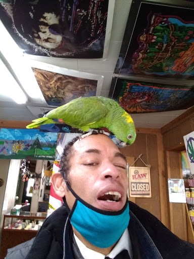 Boutique «Su Casa Boutique», reviews and photos, 1041 N Cedar St, Lansing, MI 48906, USA