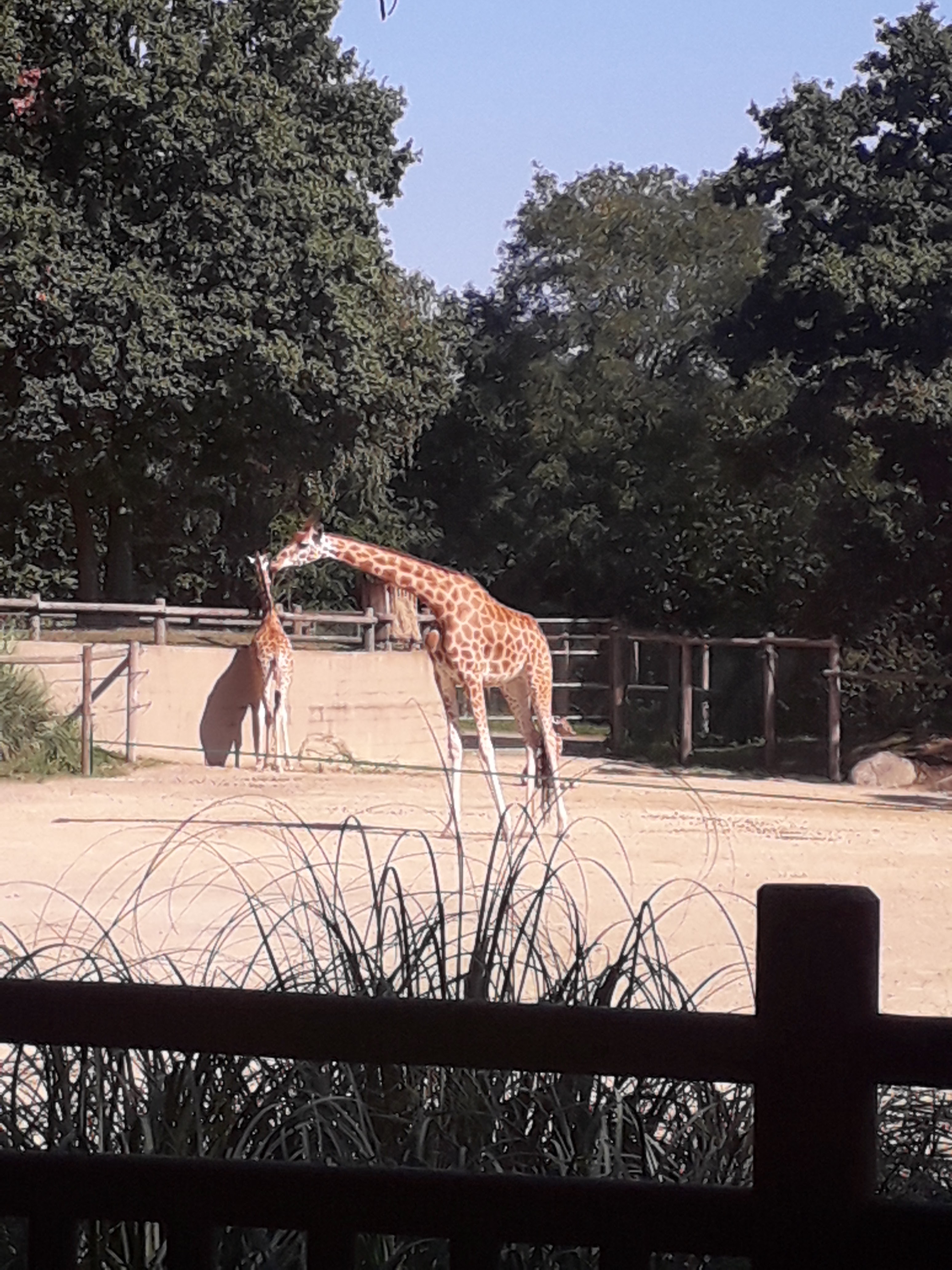 Photo n° 2 de l'avis de Marie.a fait le 16/09/2019 à 08:52