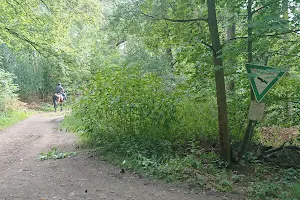 Kermelbach Nature Reserve image