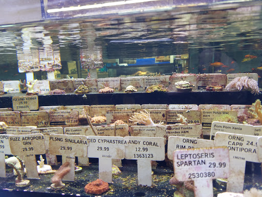 Pet Supply Store «Petco Animal Supplies», reviews and photos, 5125 Jonestown Rd #195, Harrisburg, PA 17112, USA