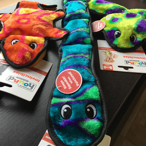 Pet Store «Four Paws on the Beach», reviews and photos, 144 Laneda Ave, Manzanita, OR 97130, USA