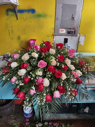 Florist «Flowers Vs Flowers», reviews and photos, 414 Main St, Paterson, NJ 07501, USA