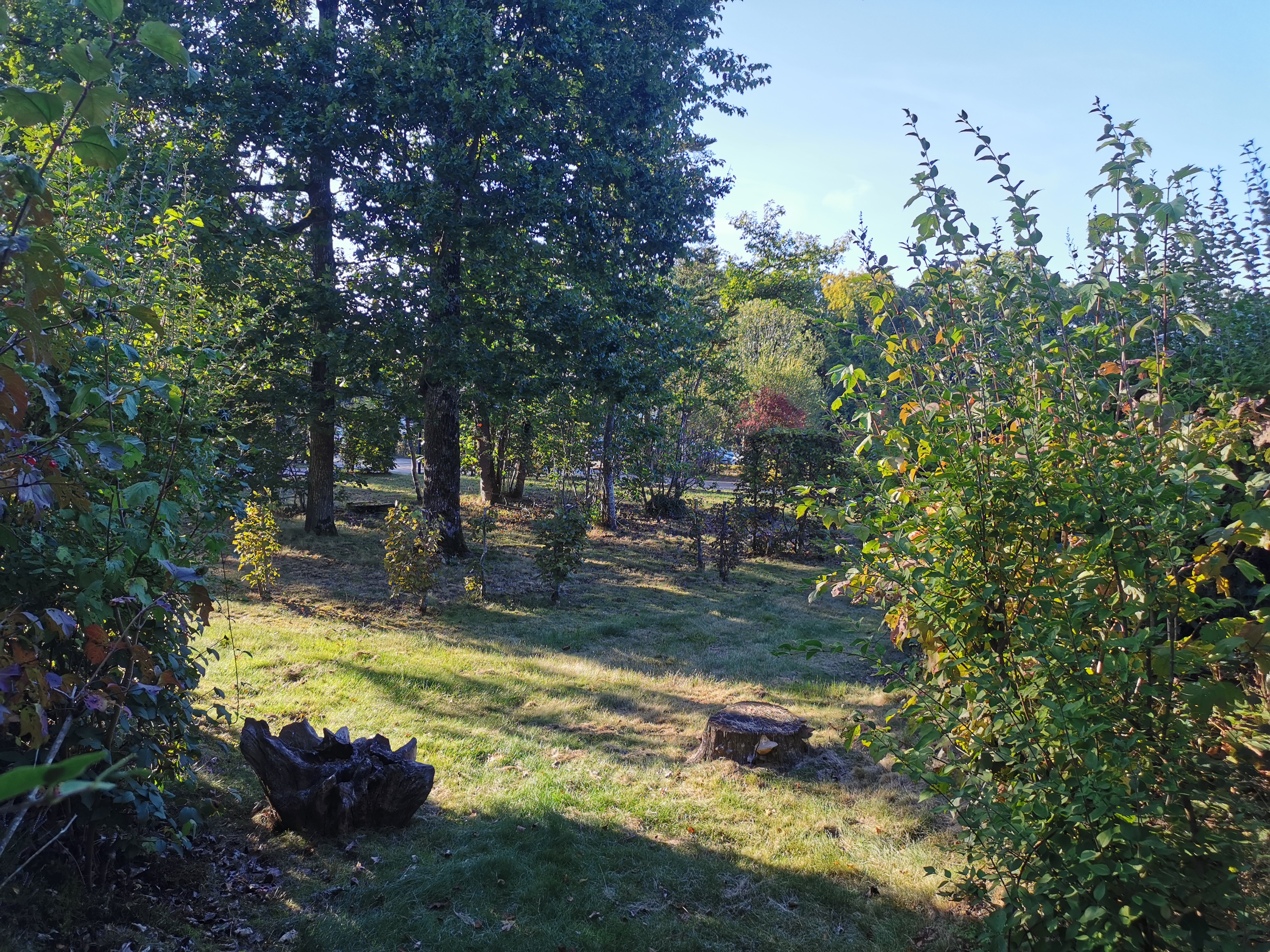 Photo n° 2 de l'avis de Djemila.e fait le 09/10/2021 à 17:29