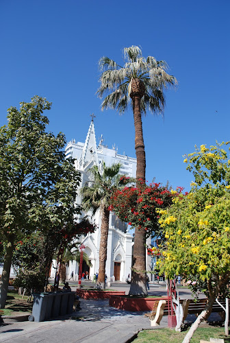 Plaza de Negocios la Negra S A - Servicio de transporte