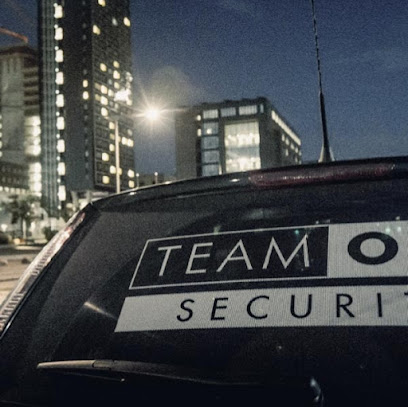 Team One Security ApS