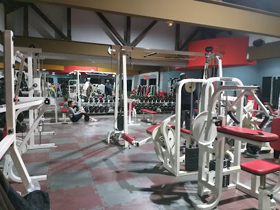 LIFE GYM